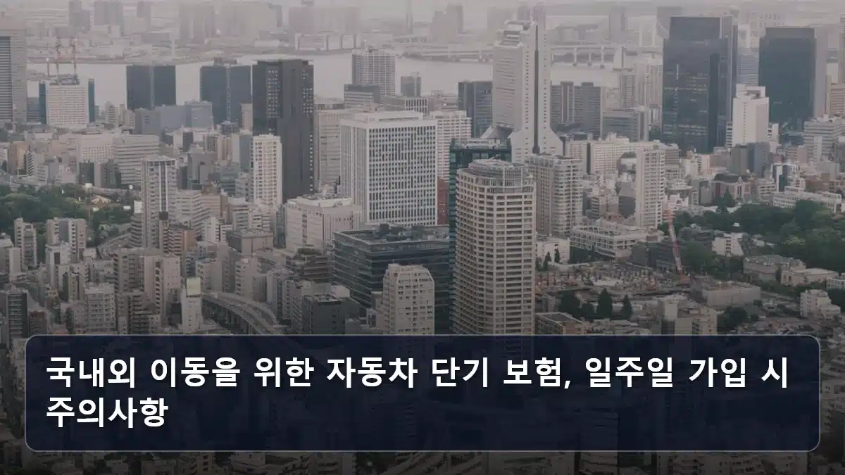 국내외 이동을 위한 자동차 단기 보험, 일주일 가입 시 주의사항 관련 이미지
