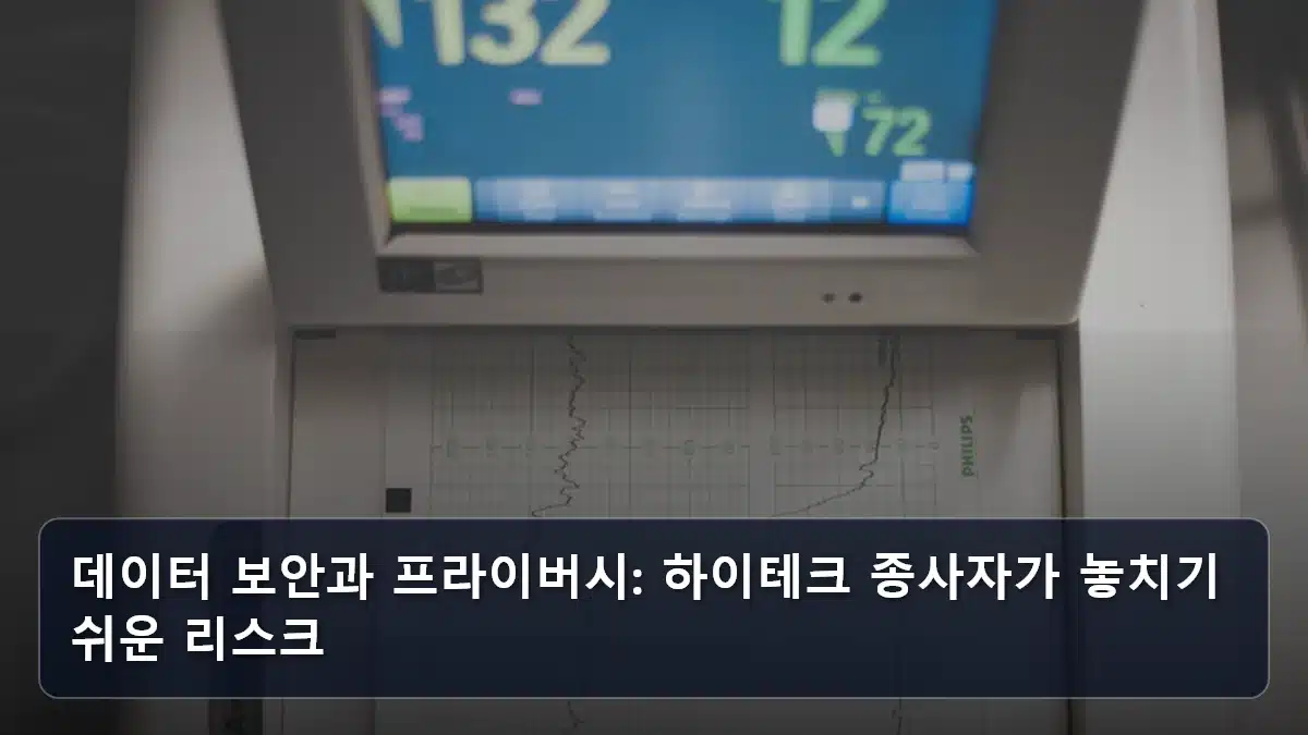 데이터 보안과 프라이버시: 하이테크 종사자가 놓치기 쉬운 리스크 관련 이미지