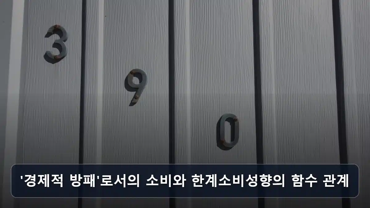 '경제적 방패'로서의 소비와 한계소비성향의 함수 관계 관련 이미지