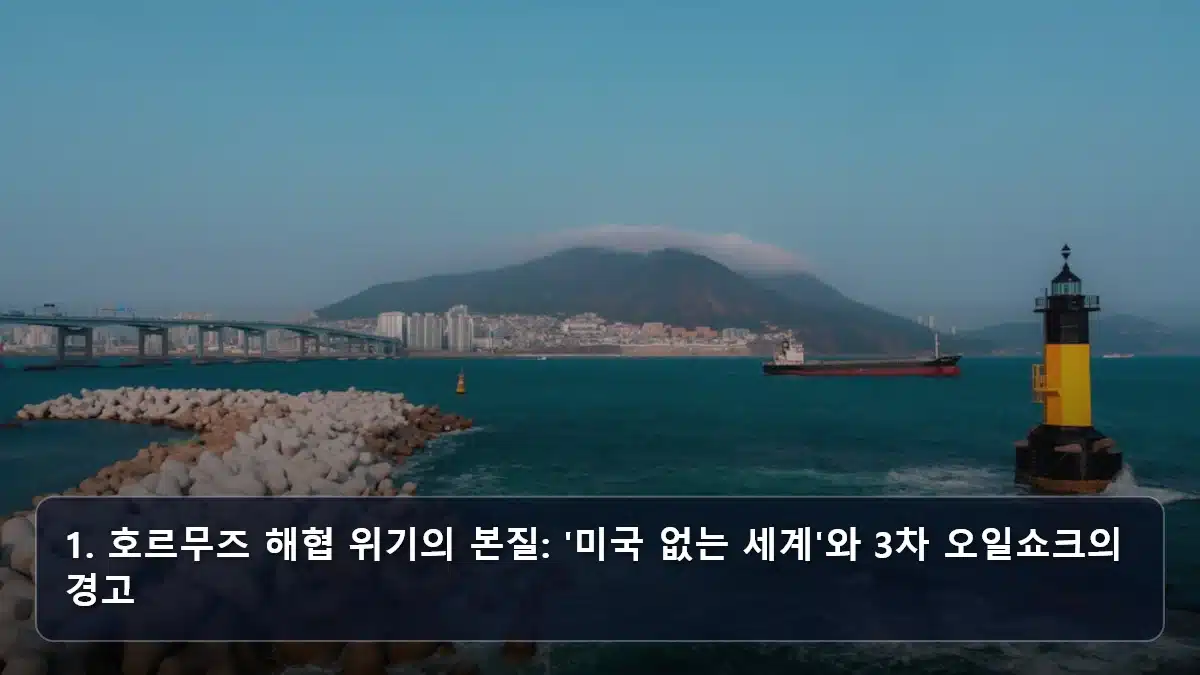 1. 호르무즈 해협 위기의 본질: '미국 없는 세계'와 3차 오일쇼크의 경고 관련 이미지