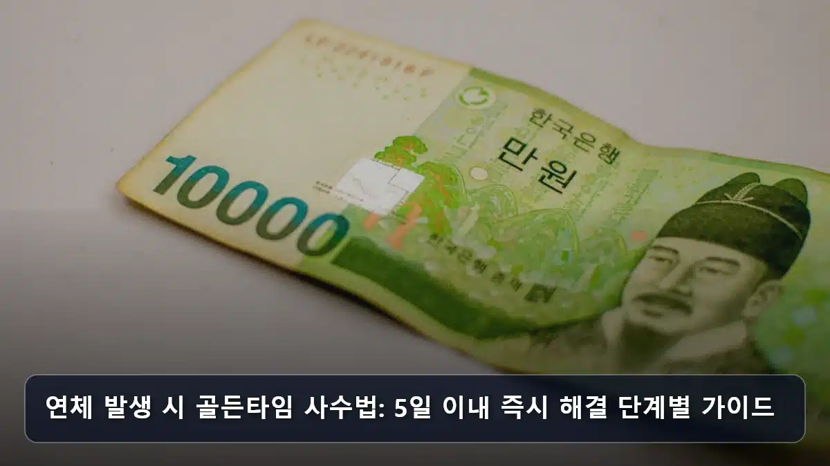 연체 발생 시 골든타임 사수법: 5일 이내 즉시 해결 단계별 가이드 관련 이미지