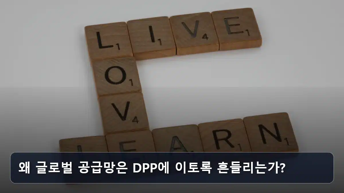 왜 글로벌 공급망은 DPP에 이토록 흔들리는가? 관련 이미지
