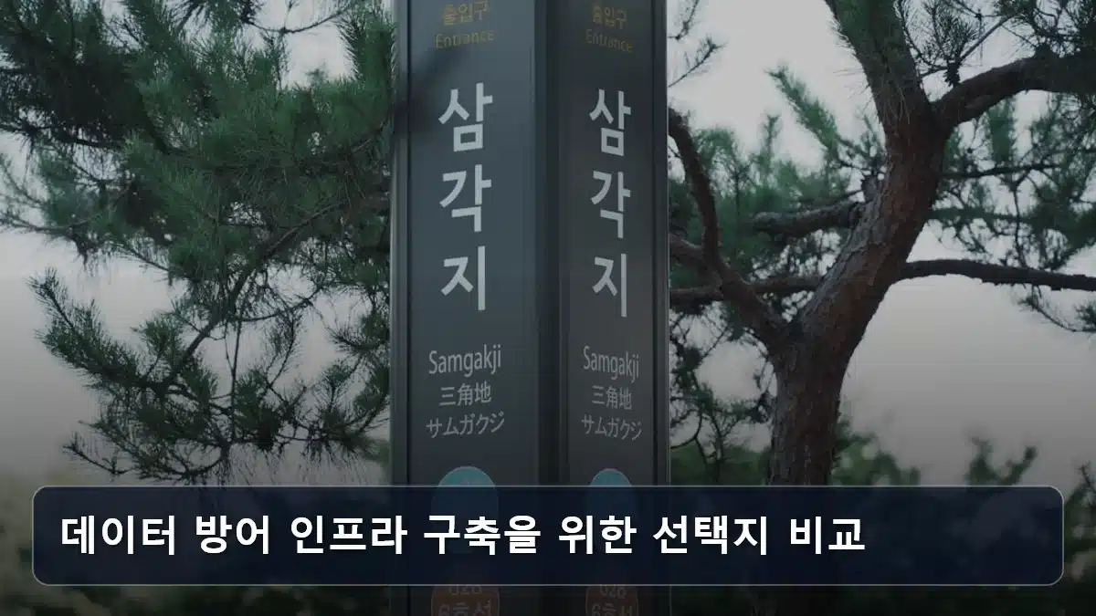 데이터 방어 인프라 구축을 위한 선택지 비교 관련 이미지
